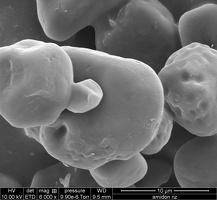 Image Microscopie Gluten