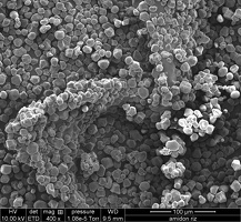 Image Microscopie Gluten