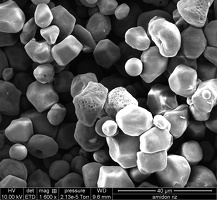  Image Microscopie Gluten