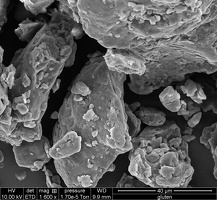  Image Microscopie Gluten