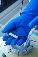  Cryotube