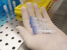  Tubes d'analyses