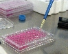 Pipetage